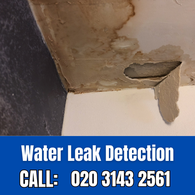 Expert Water Leak Detection Services in Croydon | Croydon Leak Detection